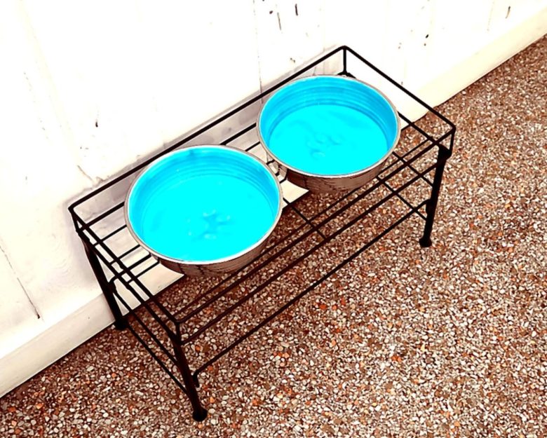 Dog bowls
