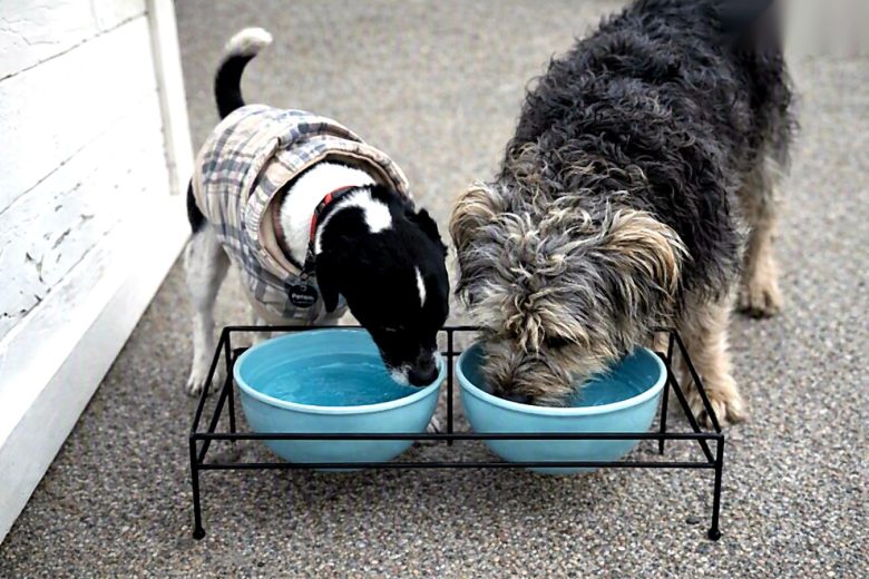 Pet friendly with water and food bowls provided.
