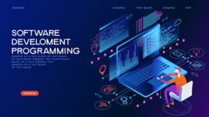 Programming Languages Degree