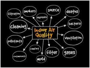 Workplace Air Quality
