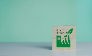 Process Technology And Green Innovation