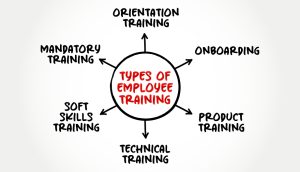Certificate Program Technical Skills